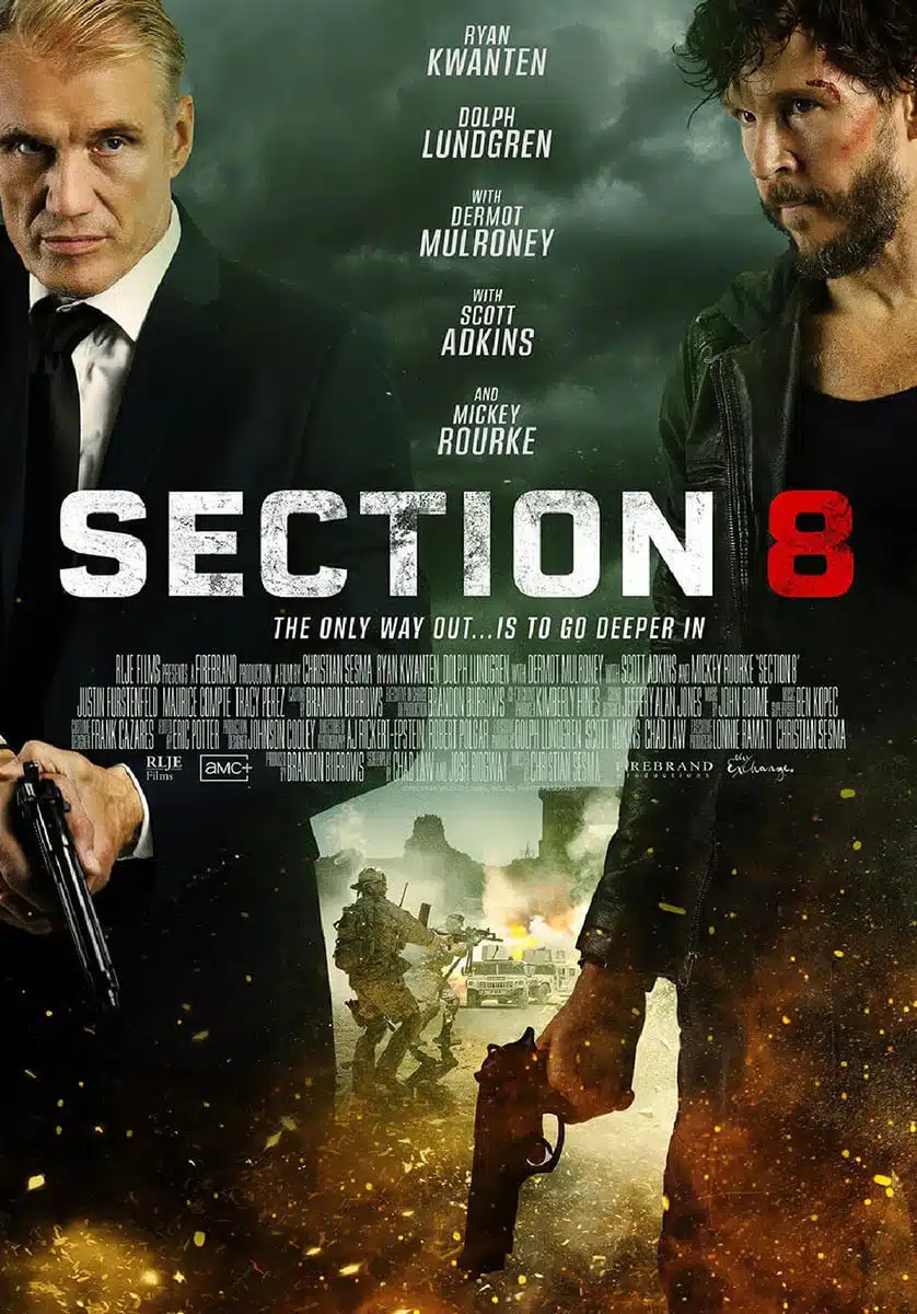 section 8